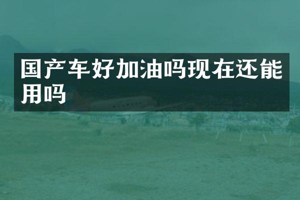 国产车好加油吗现在还能用吗