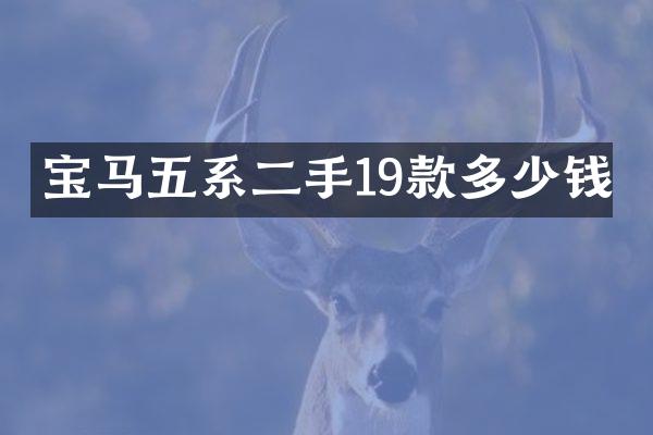 宝马五系二手19款多少钱