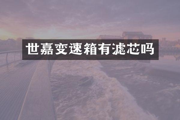 世嘉变速箱有滤芯吗