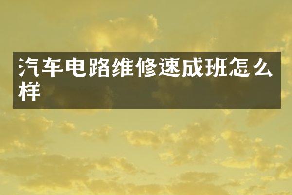 汽车电路维修速成班怎么样