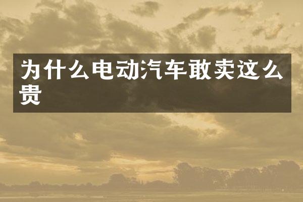 为什么电动汽车敢卖这么贵