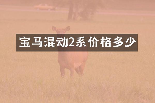 宝马混动2系价格多少