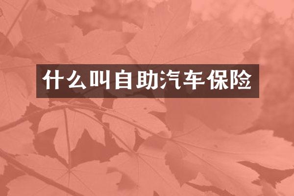 什么叫自助汽车保险