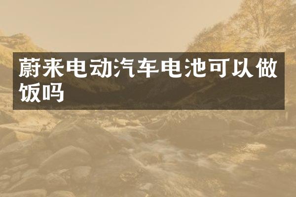 蔚来电动汽车电池可以做饭吗