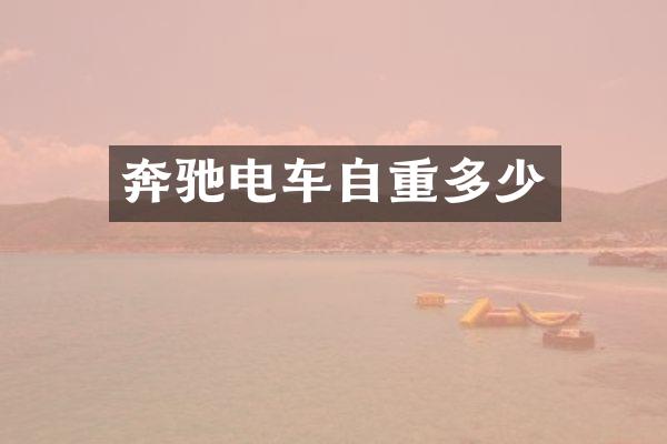 奔驰电车自重多少