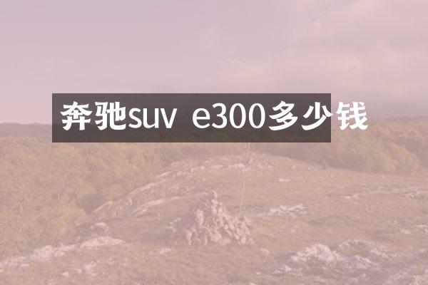 奔驰suv e300多少钱