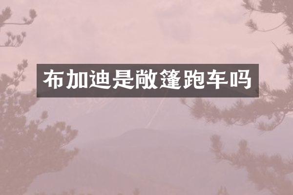 布加迪是敞篷跑车吗