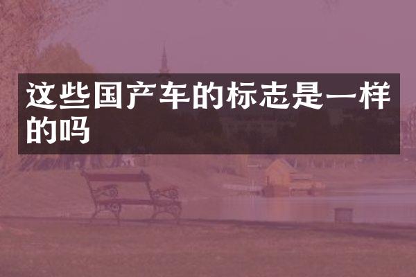 这些国产车的标志是一样的吗