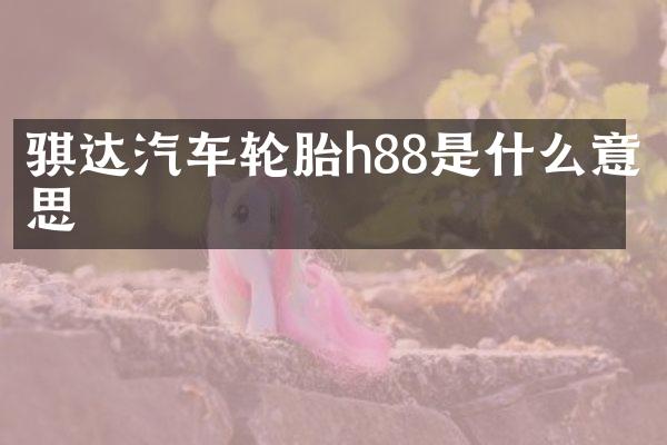 骐达汽车轮胎h88是什么意思