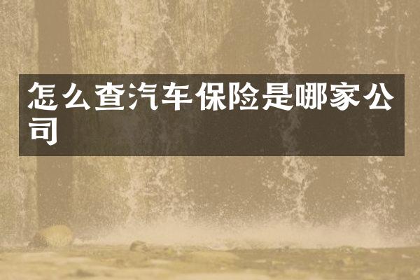 怎么查汽车保险是哪家公司