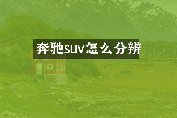 奔驰suv怎么分辨