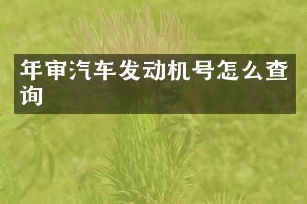 年审汽车发动机号怎么查询
