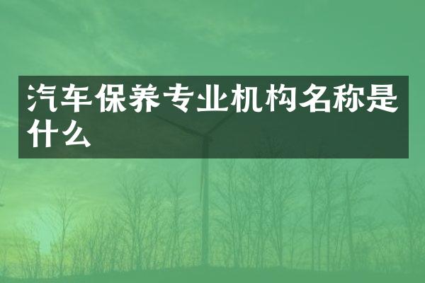 汽车保养专业机构名称是什么