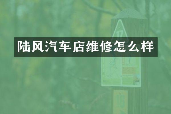 陆风汽车店维修怎么样