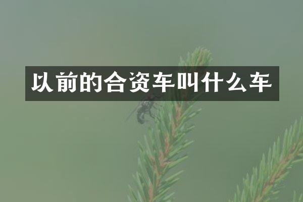 以前的合资车叫什么车