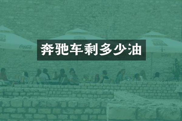 奔驰车剩多少油