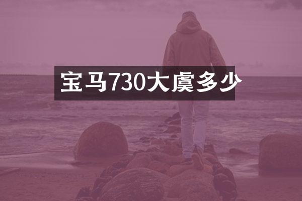 宝马730大虞多少