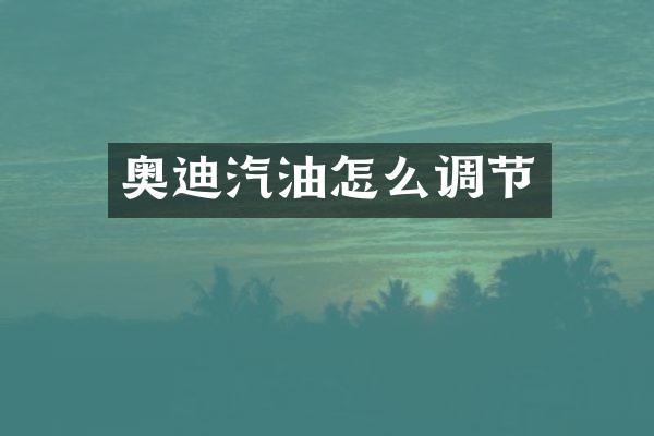 奥迪汽油怎么调节