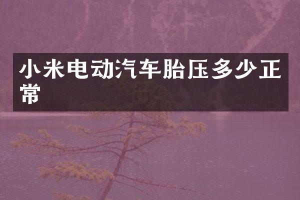小米电动汽车胎压多少正常