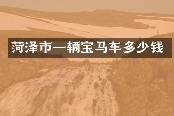 菏泽市一辆宝马车多少钱