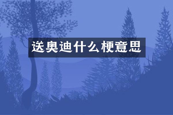 送奥迪什么梗意思
