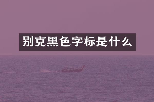 别克黑色字标是什么