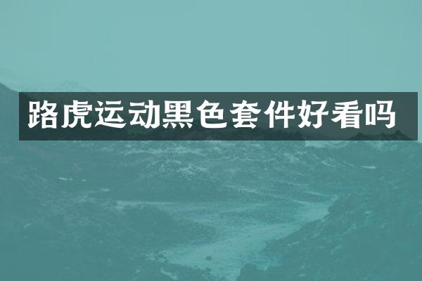 路虎运动黑色套件好看吗