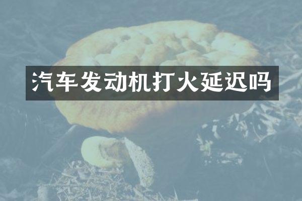 汽车发动机打火延迟吗