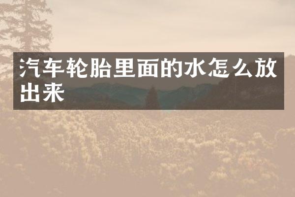 汽车轮胎里面的水怎么放出来