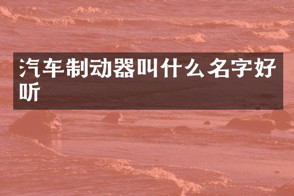 汽车制动器叫什么名字好听