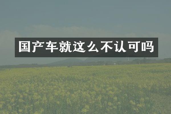 国产车就这么不认可吗