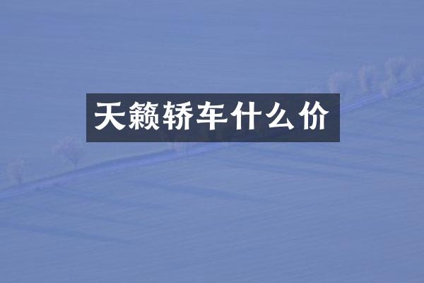 天籁轿车什么价