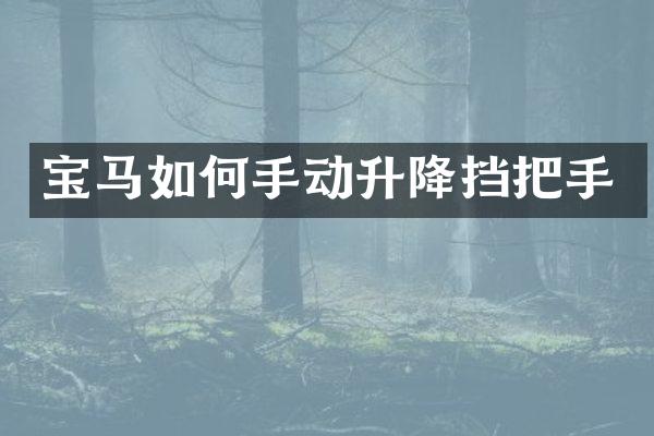 宝马如何手动升降挡把手