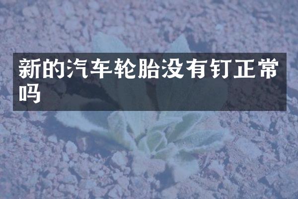 新的汽车轮胎没有钉正常吗