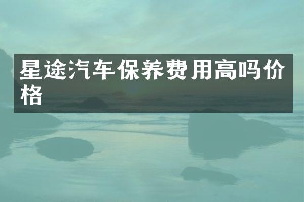 星途汽车保养费用高吗价格