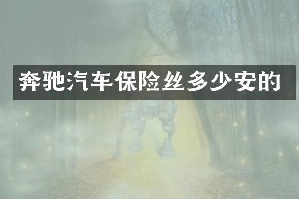 奔驰汽车保险丝多少安的