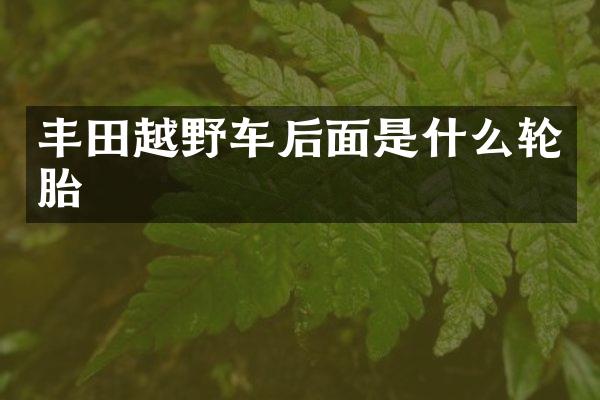 丰田越野车后面是什么轮胎