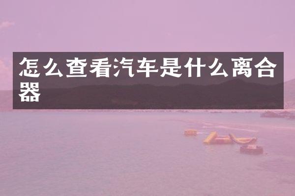 怎么查看汽车是什么离合器