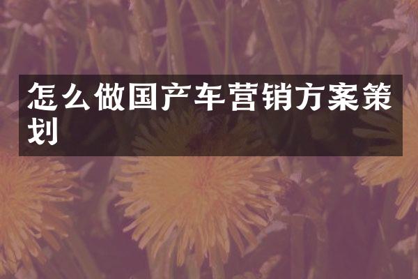 怎么做国产车营销方案策划