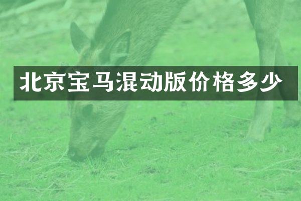 北京宝马混动版价格多少