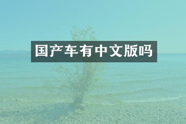 国产车有中文版吗
