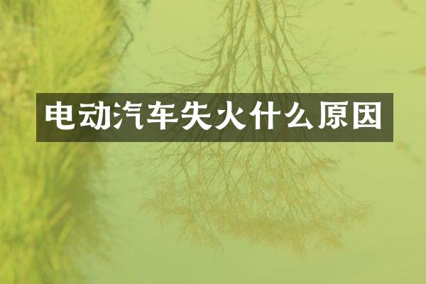 电动汽车失火什么原因