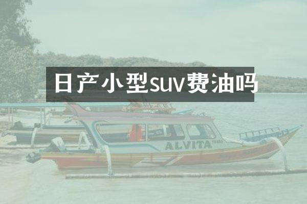 日产小型suv费油吗