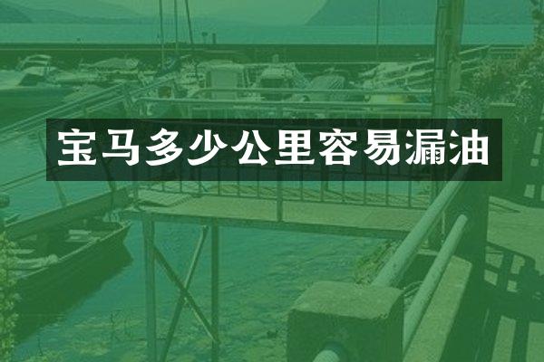 宝马多少公里容易漏油
