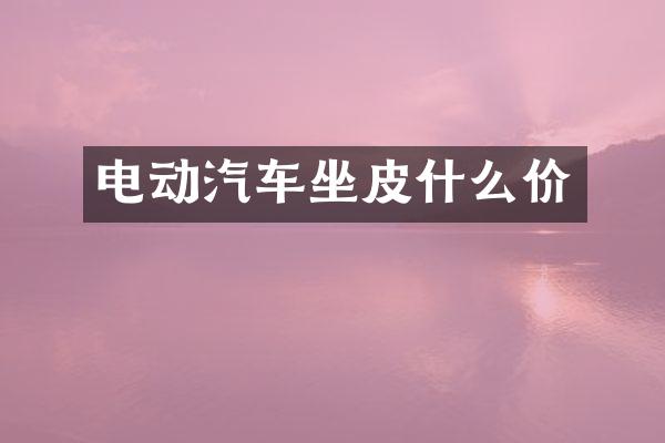 电动汽车坐皮什么价