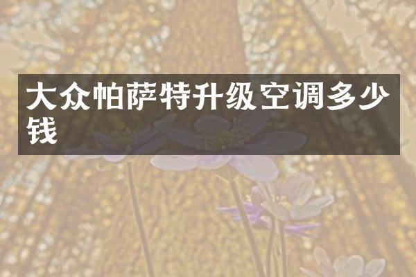 大众帕萨特升级空调多少钱