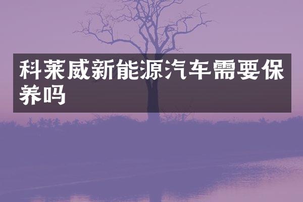 科莱威新能源汽车需要保养吗
