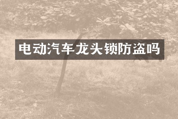 电动汽车龙头锁防盗吗