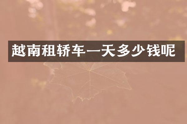 越南租轿车一天多少钱呢