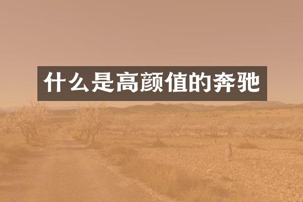 什么是高颜值的奔驰